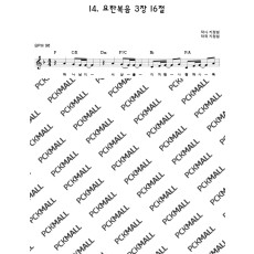 14. 요한복음 3장 16절