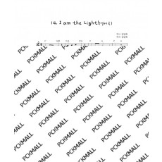 14. Iamthelight